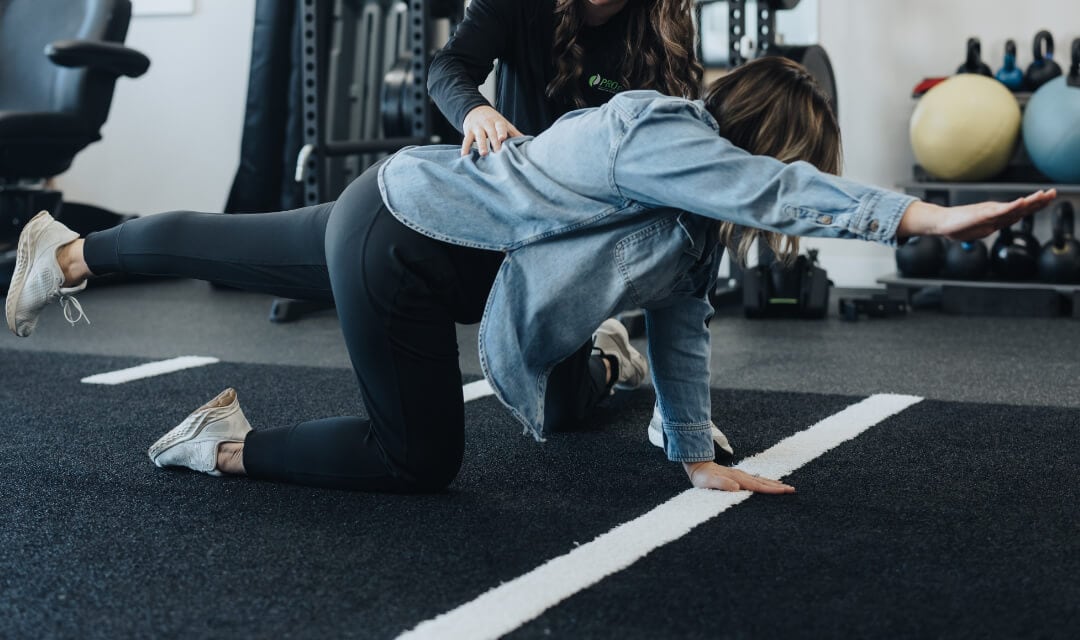 pro-therapy-hands-on-pelvic-health