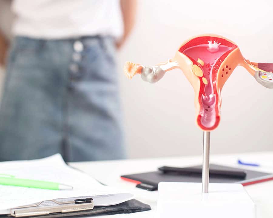 A model of the female reproductive system in the background is a girl in a doctor s office with incontinence problems.